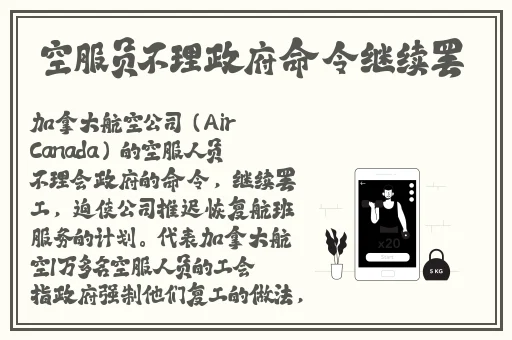 草民网民网